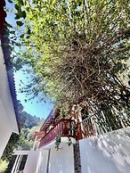 Sea Hawk Hill Resort - A Luxury Boutique Resort