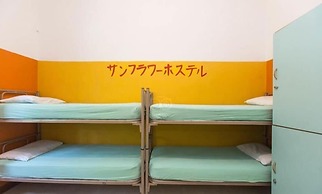 Sunflower City Youth Hotel