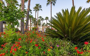 Meryan Hotel - All Inclusive