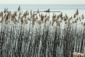 Côte Ouest AppartHotel