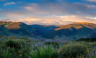 Pioneer Guest Cabins