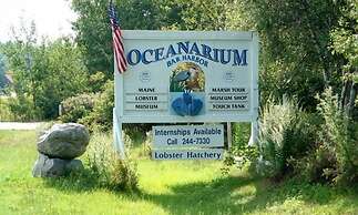 Atlantic Eyrie Lodge