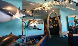 Atlantic Eyrie Lodge