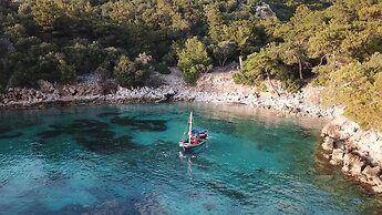 Perdue Hotel Adults Only +18