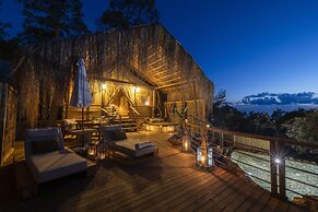 Perdue Hotel Adults Only +18