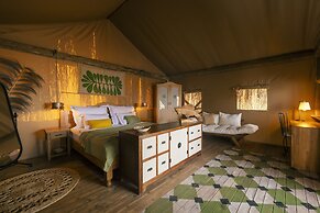 Perdue Hotel Adults Only +18