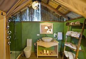 Perdue Hotel Adults Only +18