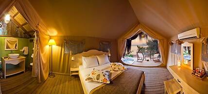 Perdue Hotel Adults Only +18