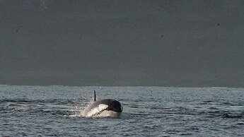 Arctic Panorama Lodge