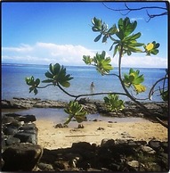 deVos - The Private Residence