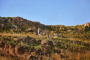 First Group Qwantani