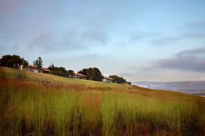 First Group Qwantani