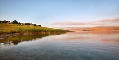 First Group Qwantani