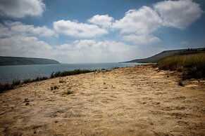 First Group Qwantani