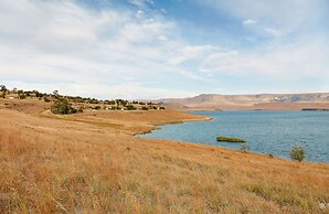 First Group Qwantani