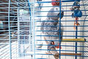 First Group Margate Sands