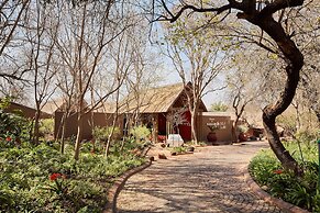 First Group Magalies Park