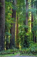 Oceanfront Inn at Shelter Cove