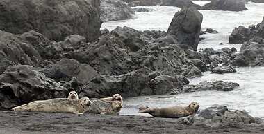 Oceanfront Inn at Shelter Cove