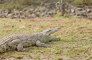 First Group Lake View Cabanas