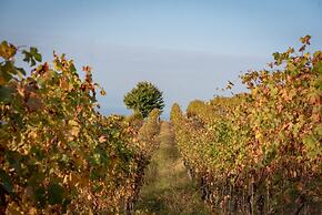 San martino langhe