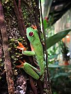 Almonds and Corals Boutique Hotel