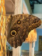 Almonds and Corals Boutique Hotel