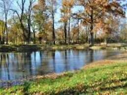 Pleasant Grove Farm LLC