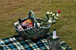 First Group Desert Rose