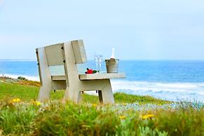 First Group Desert Rose