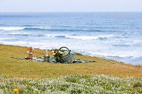 First Group Desert Rose