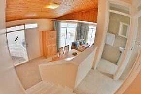 First Group Desert Rose