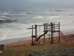 First Group Desert Rose