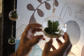 Paraiso Mar Nova Estrela