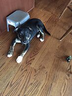 Historic Windsor Hotel