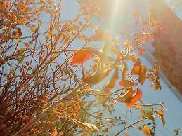 Holiday Inn Express Ordos Dongshen by IHG