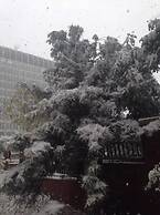 Holiday Inn Express Ordos Dongshen by IHG