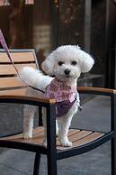 Metropolitan at The 9, Autograph Collection