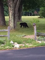 Aerie Inn of Vermont