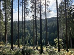 Der schöne Asten - Resort Winterberg