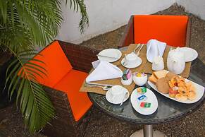 Palms, Mount Lavinia