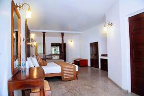 Palms, Mount Lavinia