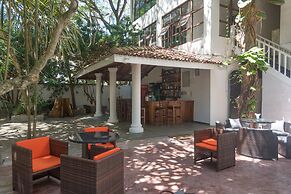 Palms, Mount Lavinia