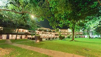 Palms, Mount Lavinia