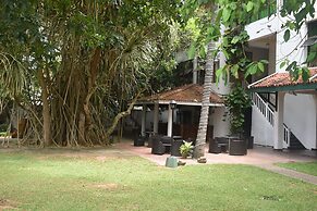 Palms, Mount Lavinia
