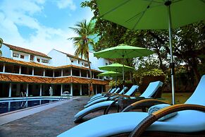 Palms, Mount Lavinia