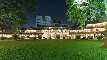Palms, Mount Lavinia
