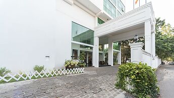 Palms, Mount Lavinia