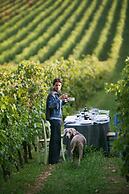 Musella Winery & Relais