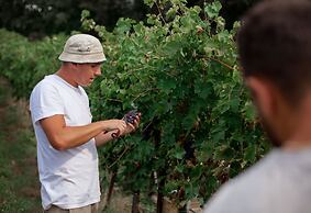 Musella Winery & Relais